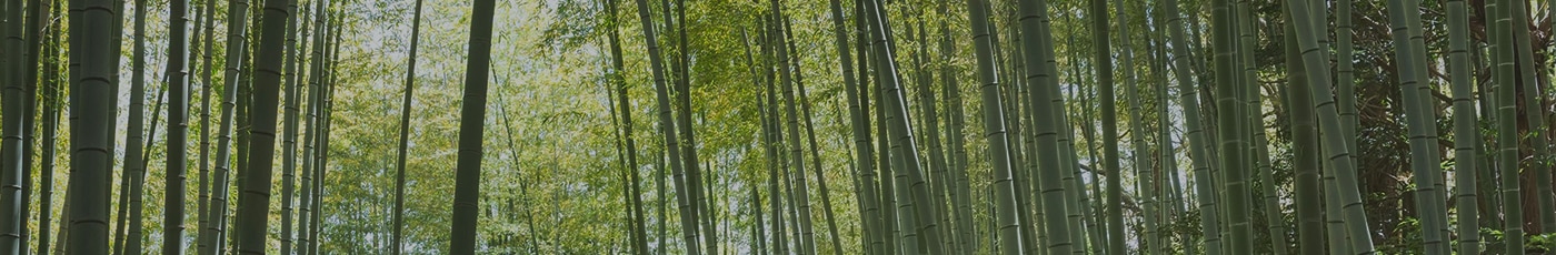 International Hero Banner