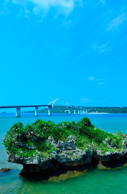 International resort