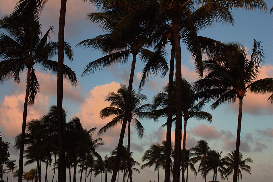 HGV와 함께하는 특별한 경험 