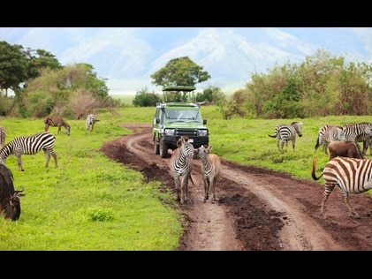 Green jeep taking tourists on a safari guided adventure.