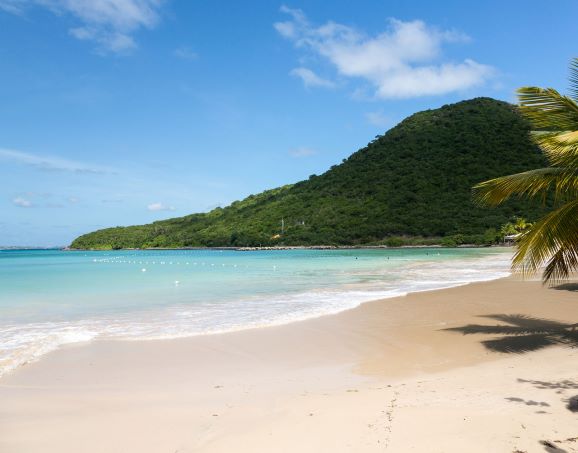 Gorgeous beach scene, lush mountain in distance, clear blue water, Sint Maarten. 