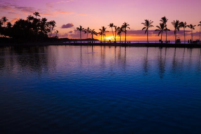 Stunning sunet views behind palm tree silohouettes, Big Island, Hawaii. 