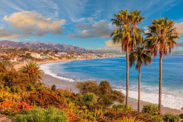 Palm trees and Pacific Ocean coastline in Southern California at sunset