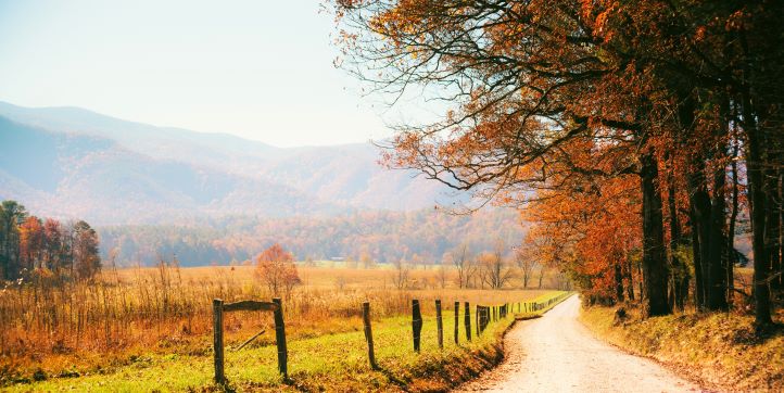 Fall foliage and aspens along a country road