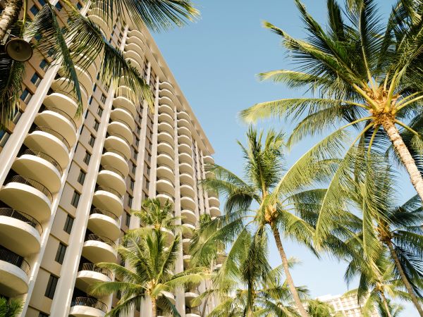 Resort exterior with palm trees