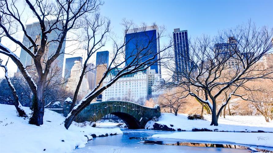 A snowy bridge in Central Park in New York City during the winter
