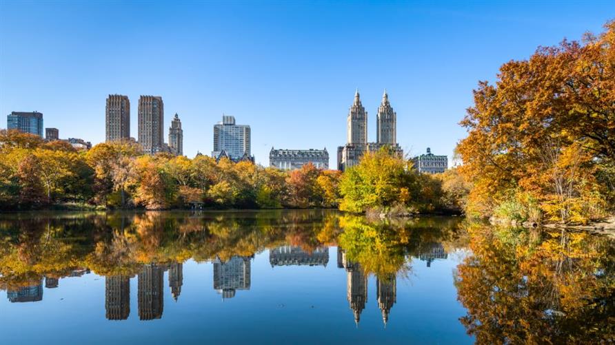 A pond in Central park in autumn with the New York City skyline in the background