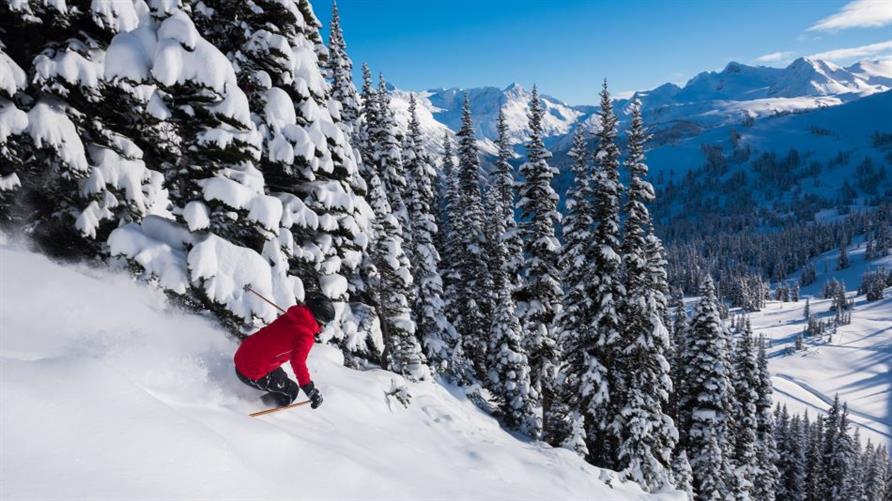 A skier in a red coat on a snowy mountain