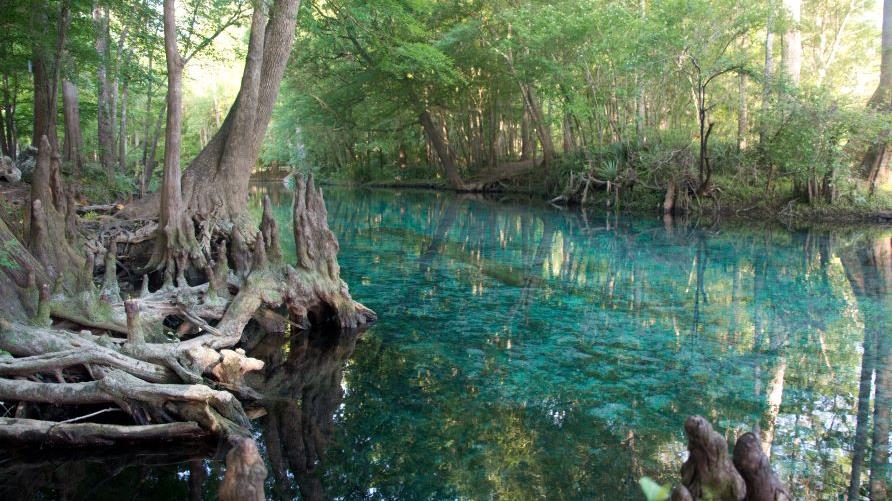 Beautiful Florida freshwater springs, Orlando, Central Florida.