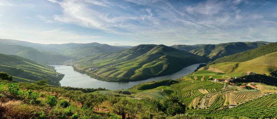 Stunning aerial, verdant rolling hills, wineries, blue skies, Portugal. 