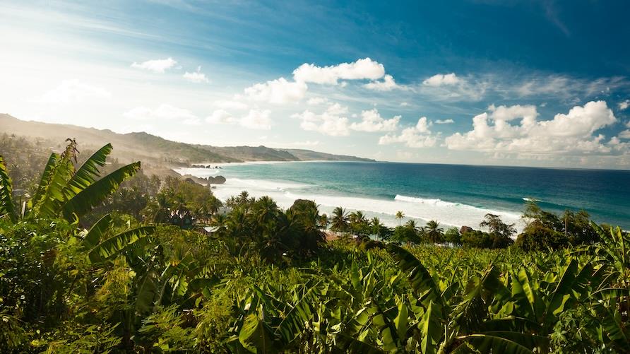 Beach scene in Barbados with lush greenery in the foreground and the beach with blue waves crashing on the beach under puffy clouds and blue sky.