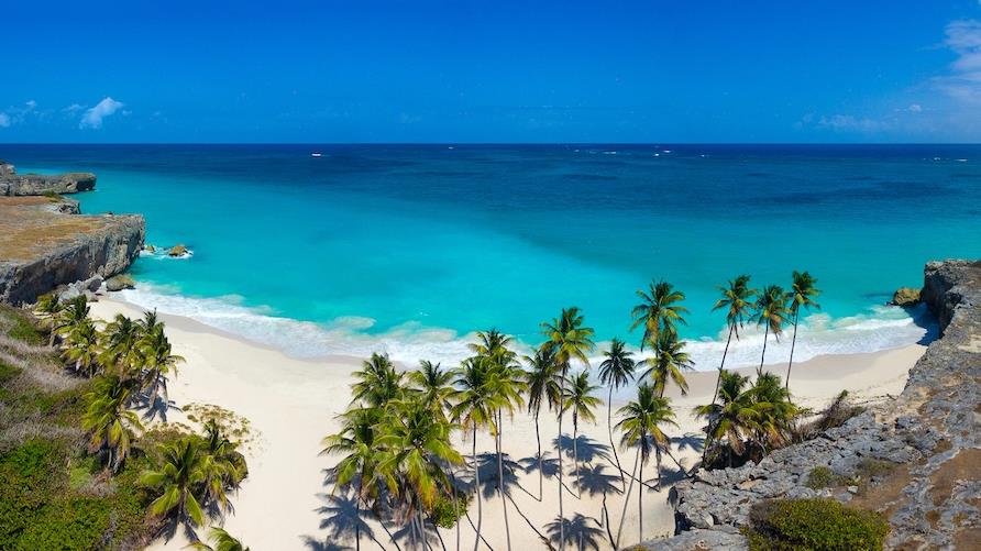 Drone image of black rock cliffs surrounding a white sand beach with crystal waters beyond and tall palm trees in the foreground in Barbados.