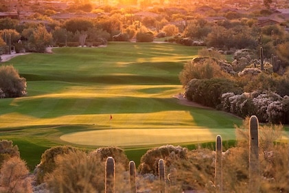 Golden rays of the sun fall across an Arizona golf course and its surrounding trees and cacti.