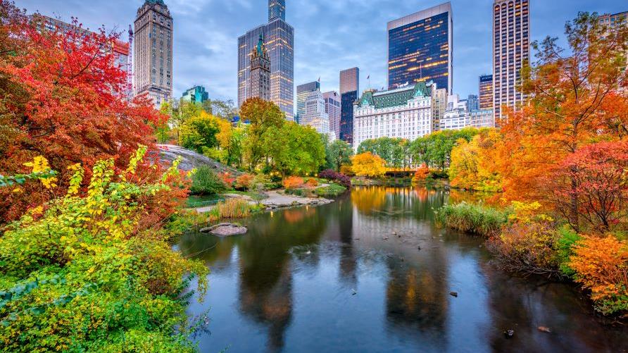 Beautiful NYC city scape, lake surrounded by fall foliage, buildings in the background, New York, New York. 