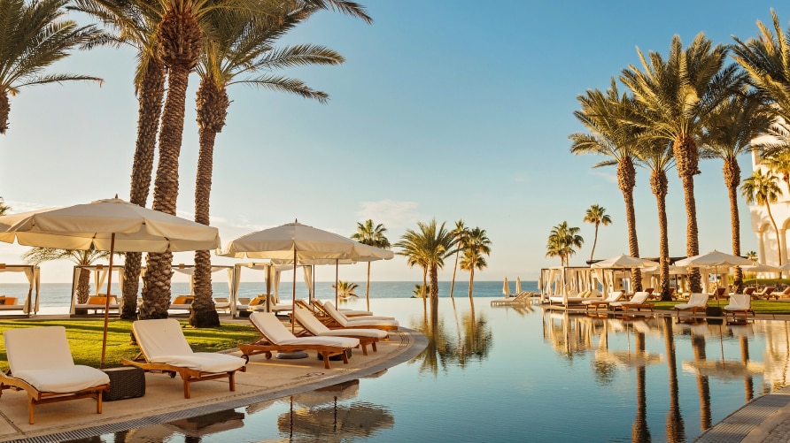 An outdoor swimming pool surrounded by reclining sun chairs and palm trees