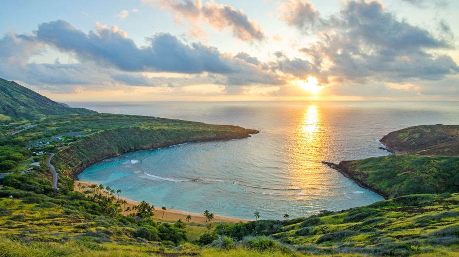 Sunset over a blue lagoon surrounded by green