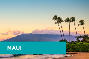 Maui Thumbnail