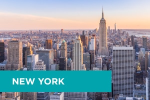 New York Thumbnail