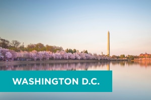 A long-distance view of the Washington Monument across the Potomac during the cherry blossoms