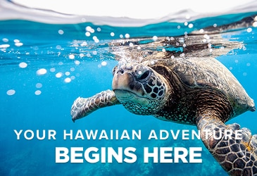 Your Hawaiian Adventure Begins Here