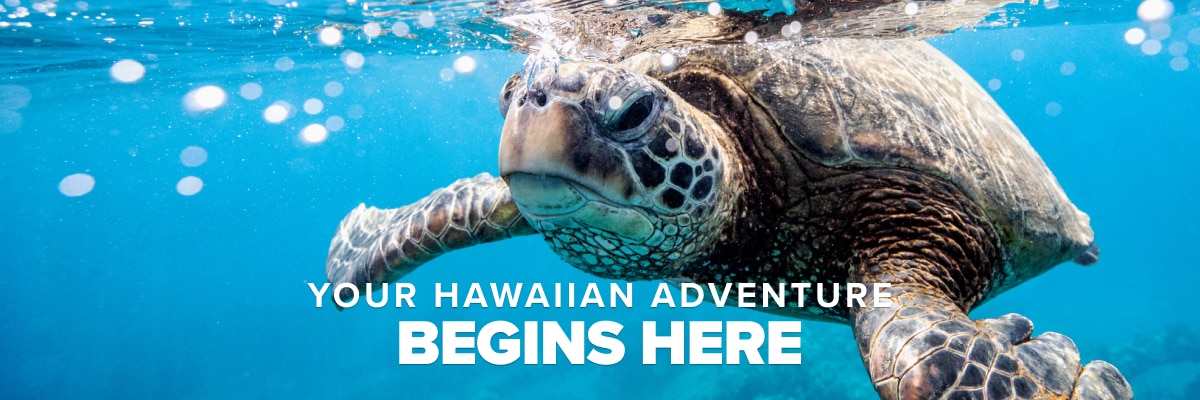 Your Hawaiian Adventure Begins Here