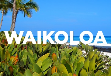 Waikoloa