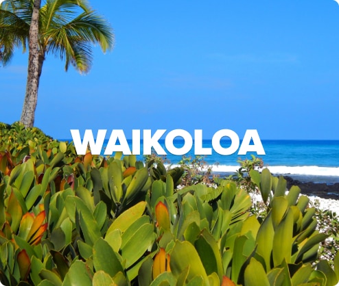 Waikoloa