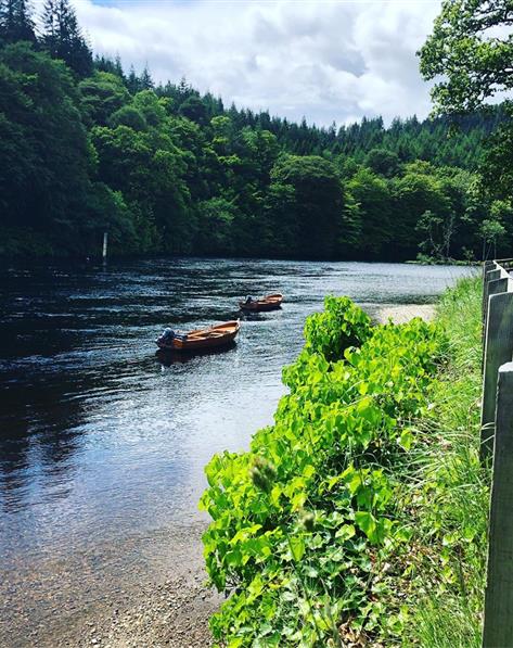 Kayakers going down a river framed by a forest