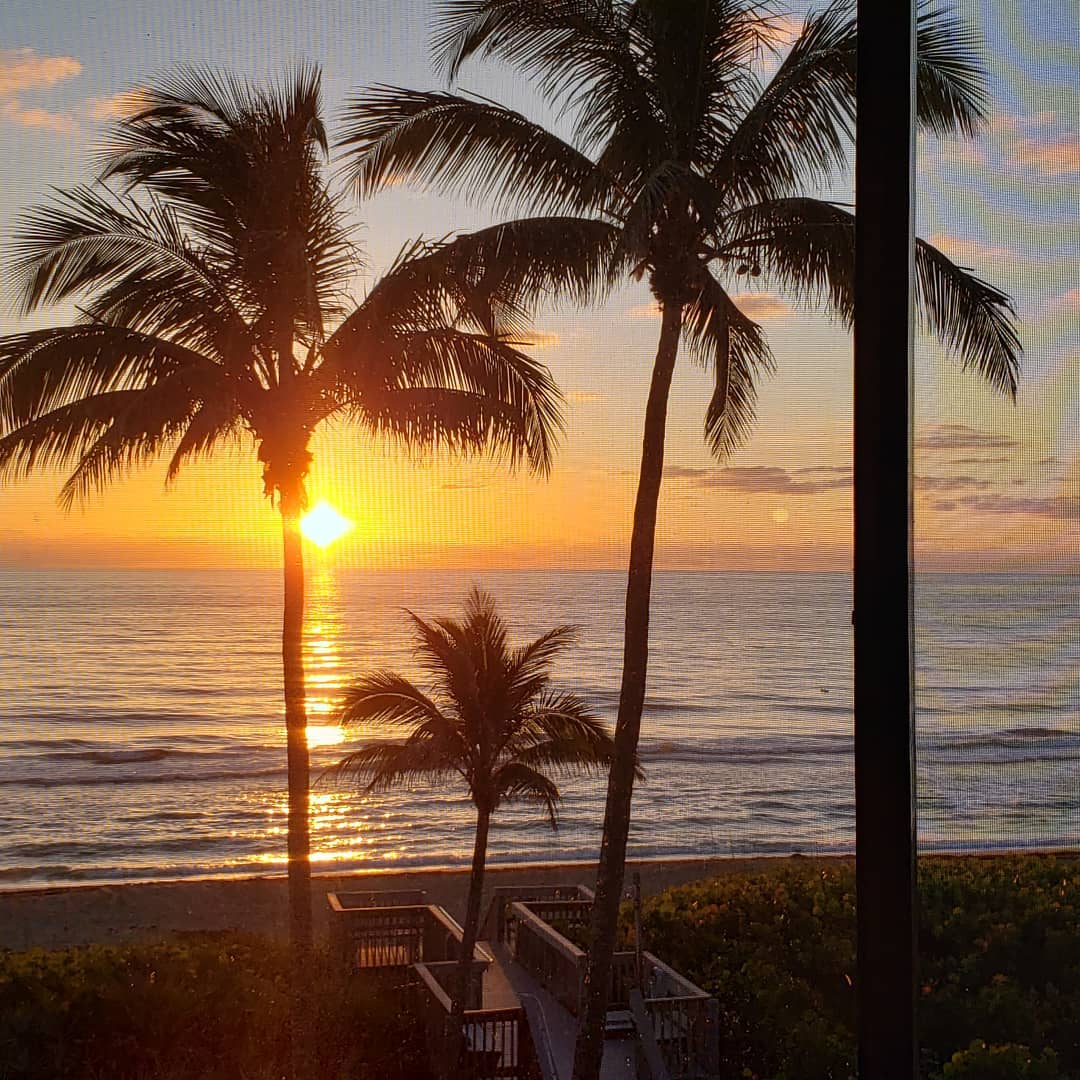Palm trees silhouetted by a colorful sunset.