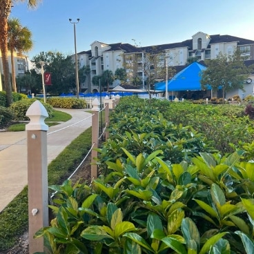 Outdoors path to Grande Villas Resort