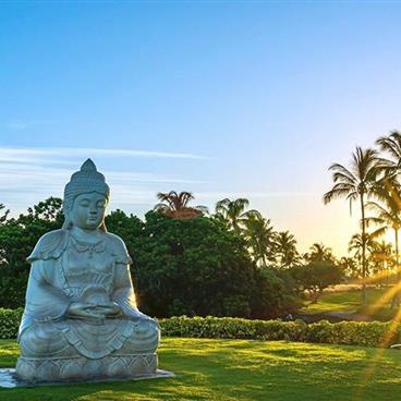 Sunrise photo of statue in front of a Hawaiian forest