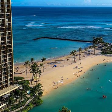 Beach peninsula dotted with palm trees 