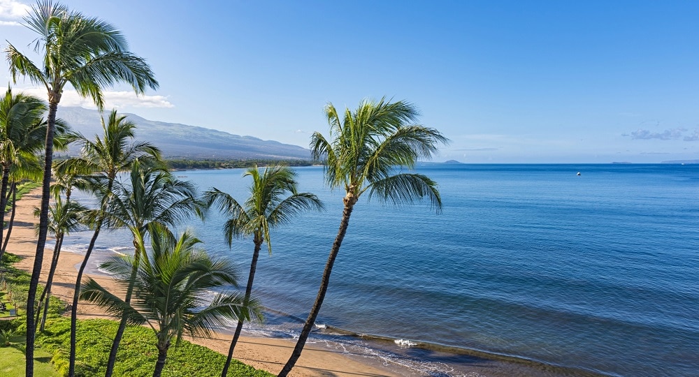 Maui Beach