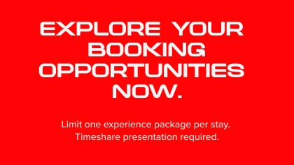Explore your booking opportunities now